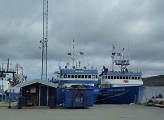 Fischfangflotte in Kirkenes